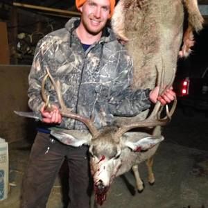 Meet your Posher, Tanner